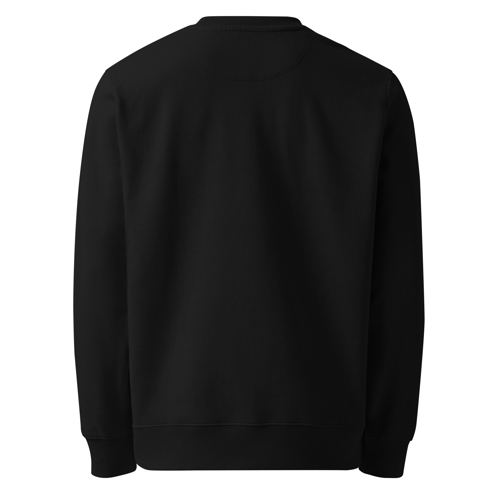 unisex-eco-changer-2.0-sweatshirt-black-back-6a0657541d349.png