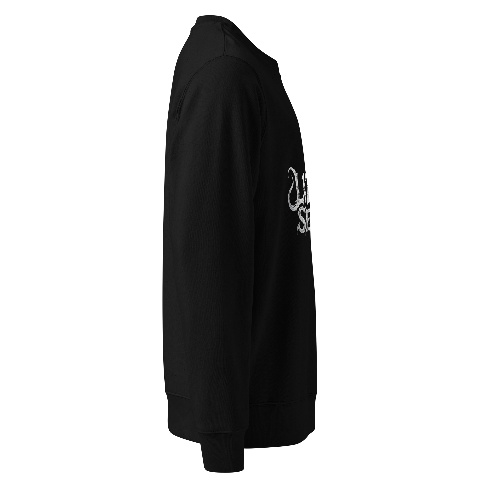 unisex-eco-changer-2.0-sweatshirt-black-right-6a0657541f1d1.png